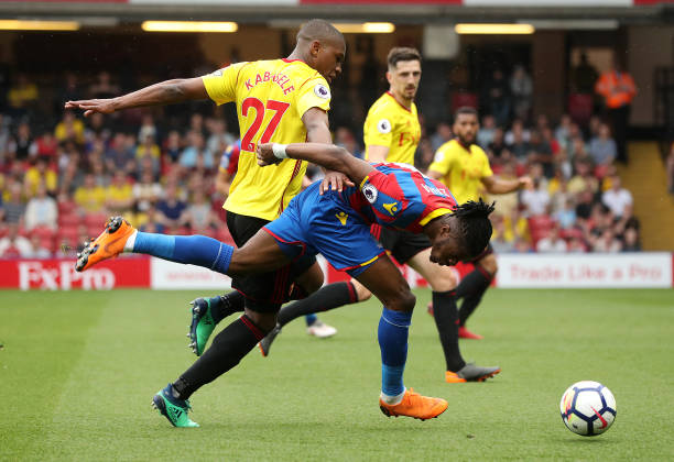 力度投资青 力度投资青